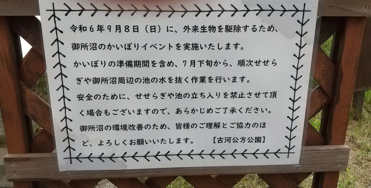 古河公方公園のかい掘り体験