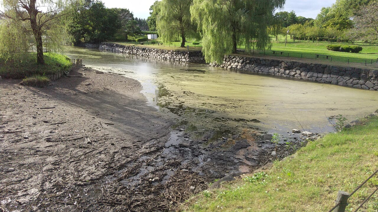 古河公方公園のかい掘り体験