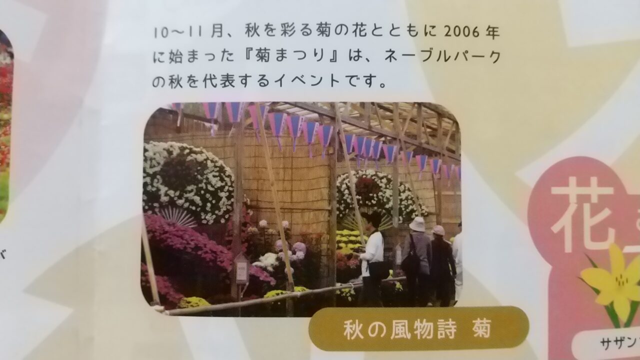菊まつり案内
