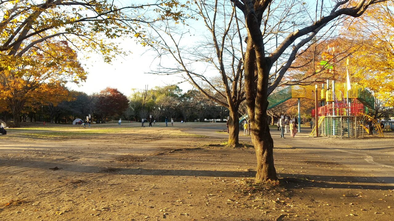 サンワ設計ネーブルパーク公園朝市