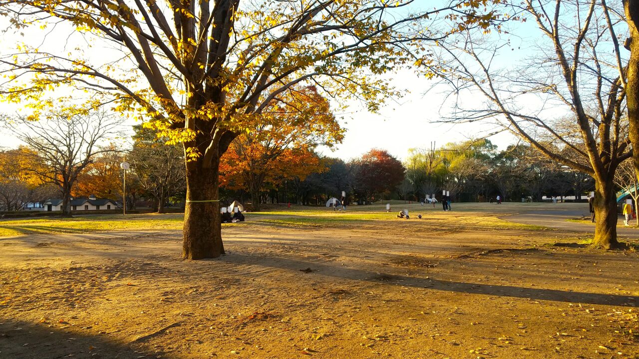 サンワ設計ネーブルパーク公園朝市